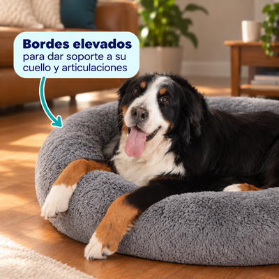 Camita Antiestrés, 4 usos en 1 con Memory Foam