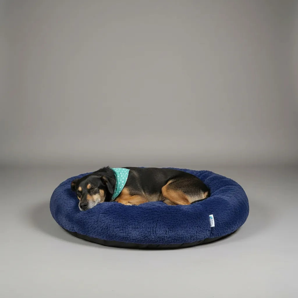 Camita Antiestrés con Memory Foam