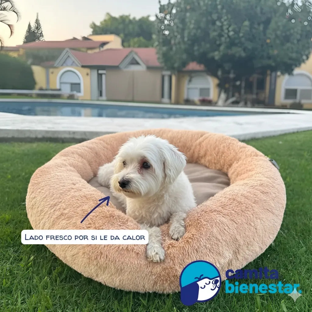 Camita Antiestrés con Memory Foam