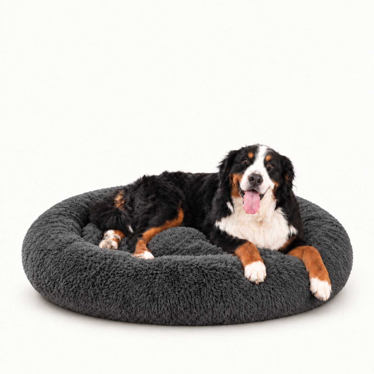 Camita Antiestrés, 4 usos en 1 con Memory Foam