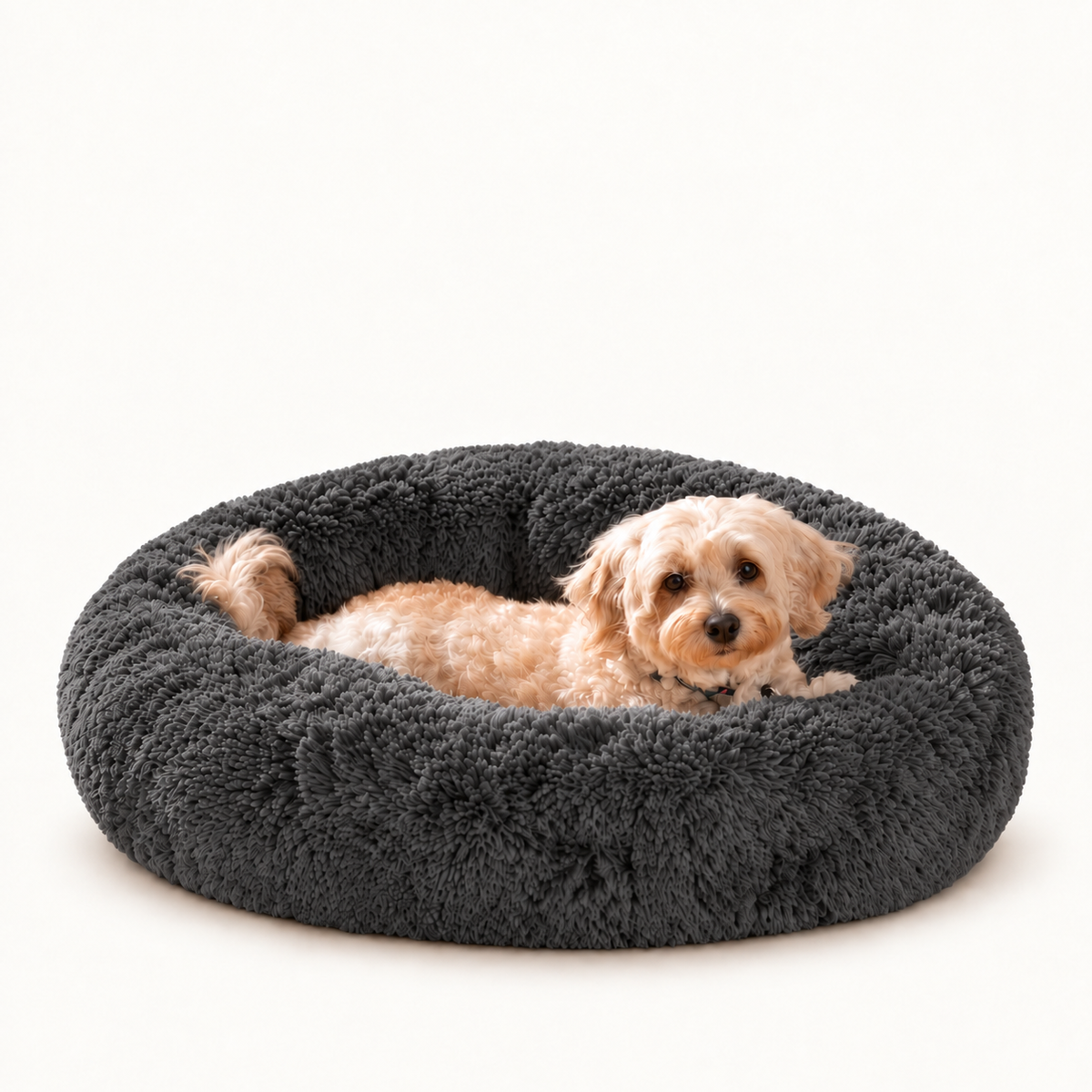 Camita Antiestrés, 4 usos en 1 con Memory Foam