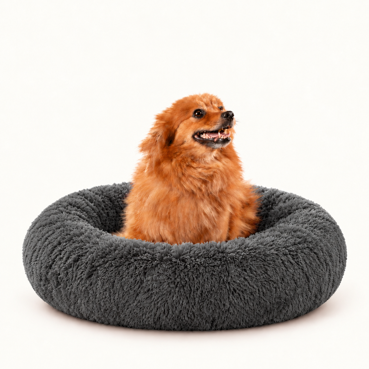 Camita Antiestrés, 4 usos en 1 con Memory Foam