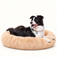 Camita Antiestrés, 4 usos en 1 con Memory Foam