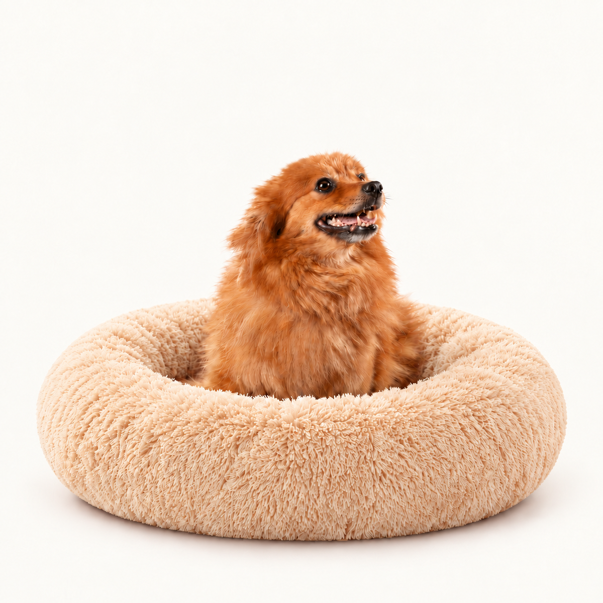 Camita Antiestrés, 4 usos en 1 con Memory Foam