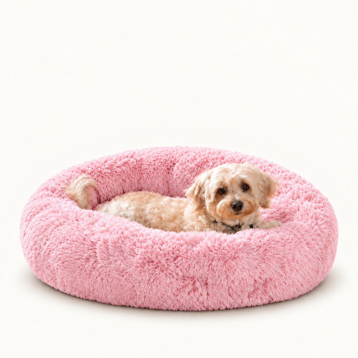 Camita Antiestrés, 4 usos en 1 con Memory Foam