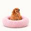 Camita Antiestrés, 4 usos en 1 con Memory Foam