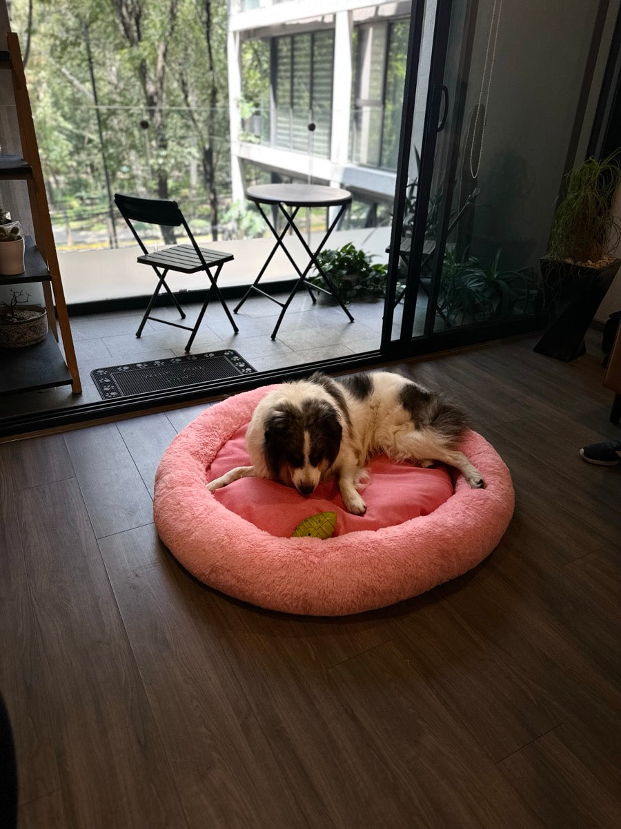Perrito en su Camita Bienestar