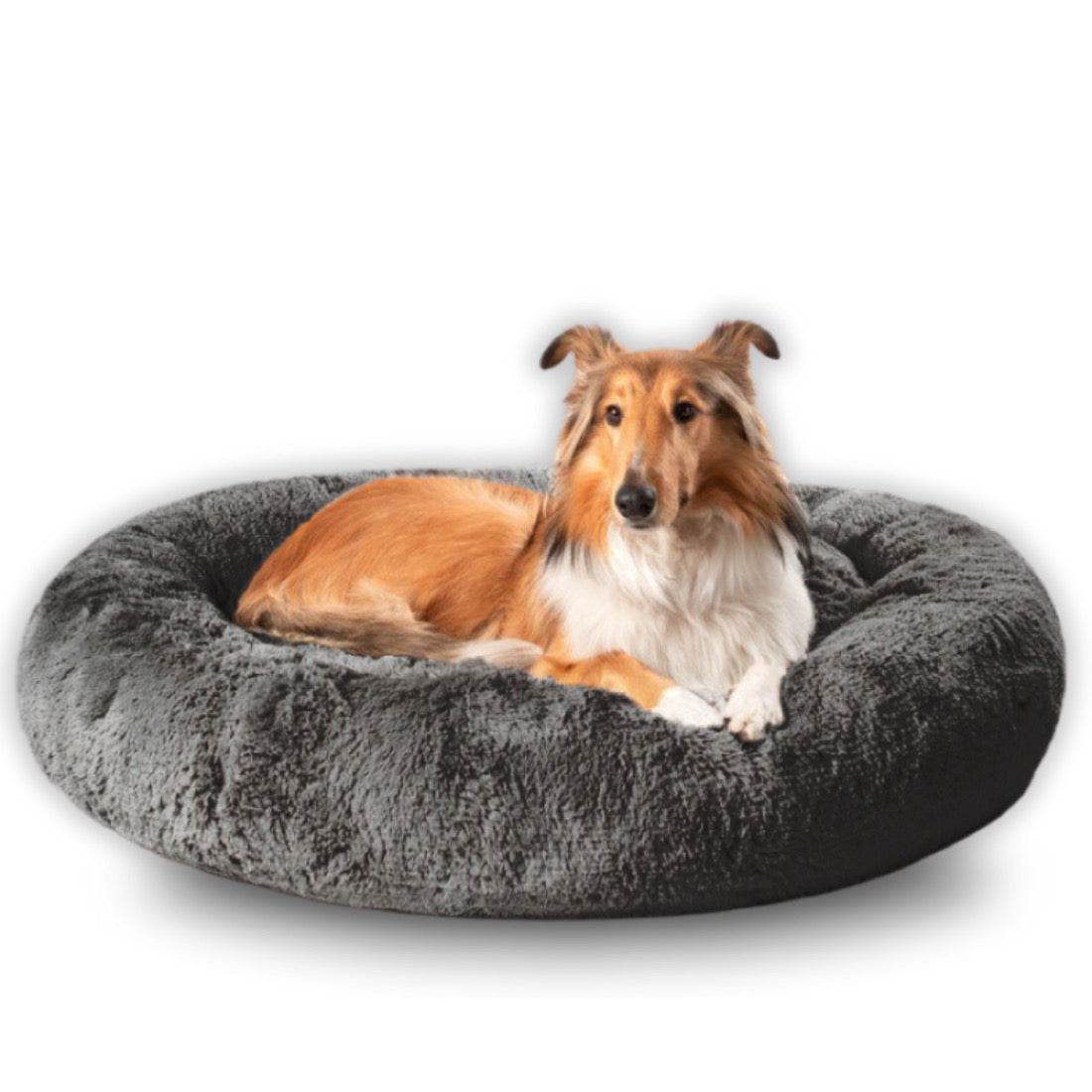 Camita Bienestar con perrito talla Grande
