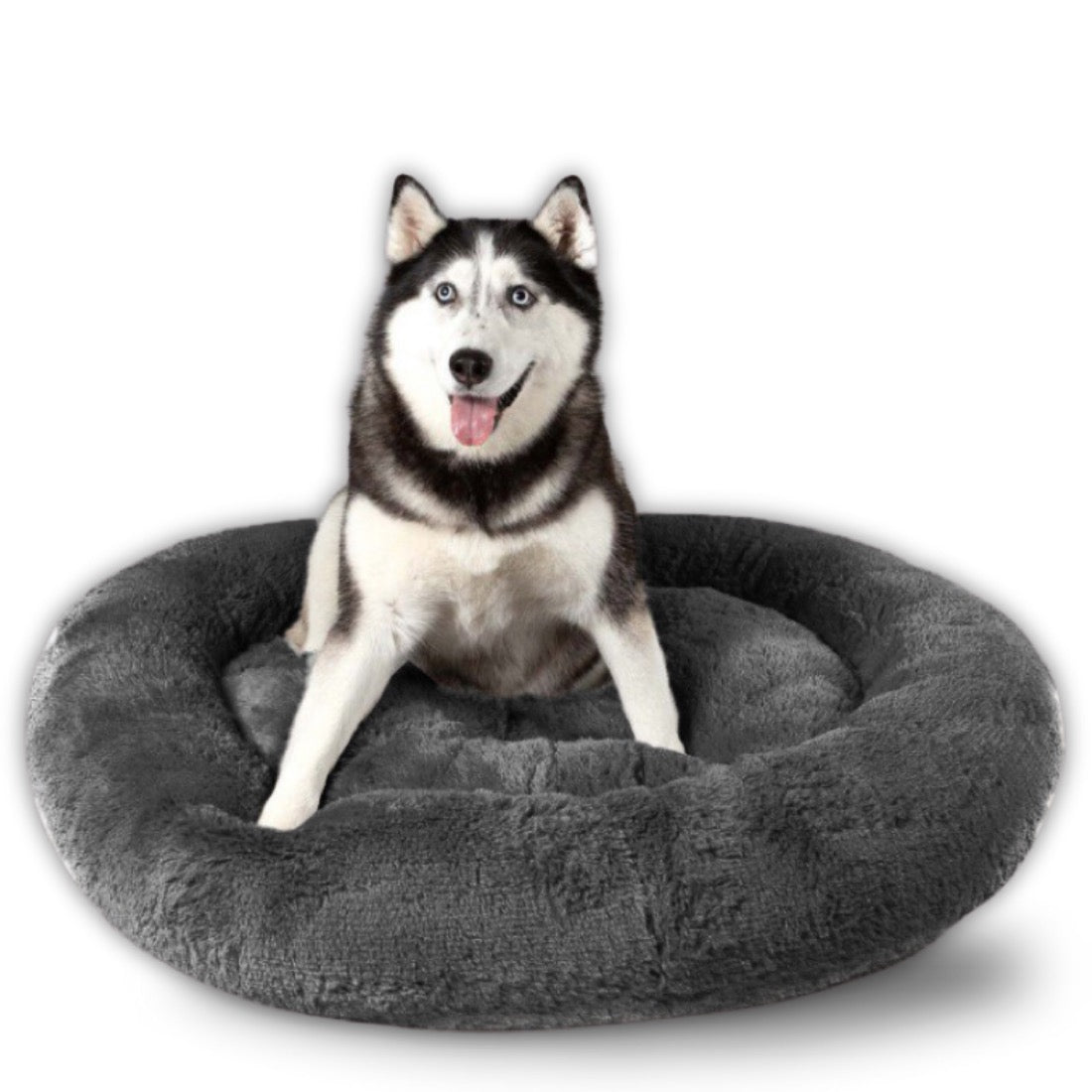 Camita Bienestar con perrito talla Jumbo