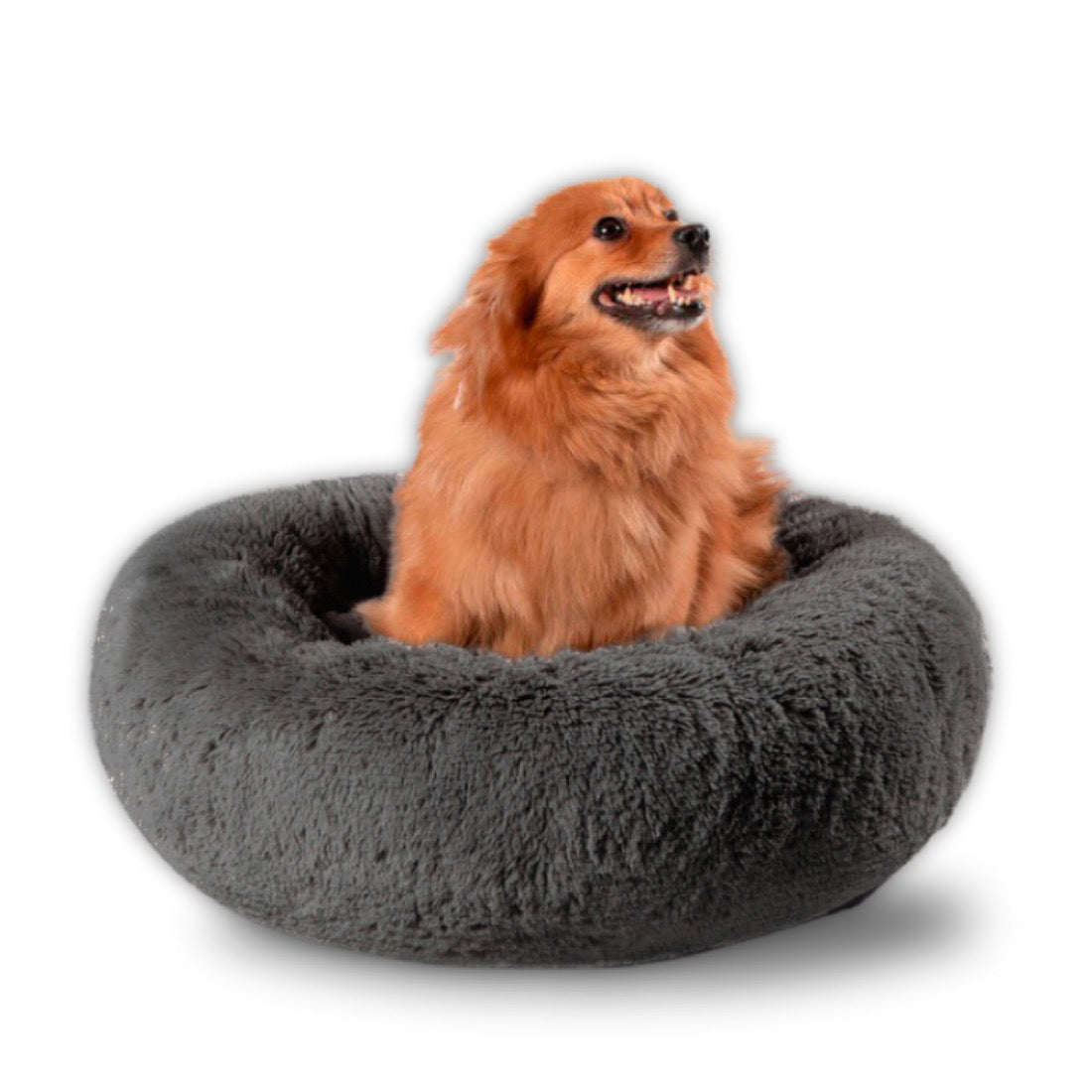 Camita Bienestar con perrito talla Chica