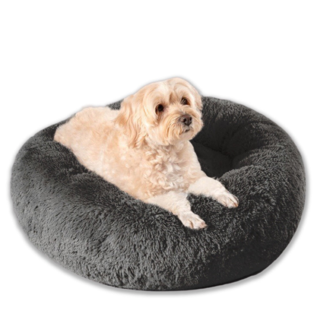 Camita Bienestar con perrito talla Mediana